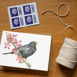 A6 Blackbird greetings card - Blank