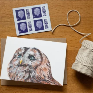 A6 Tawny owl greetings card - Blank