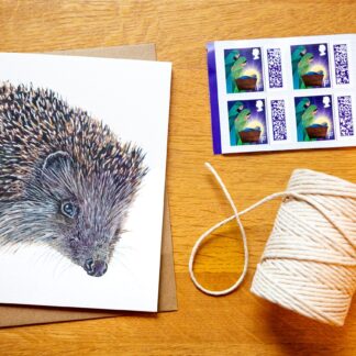 A6 Hedgehog greetings card - Blank