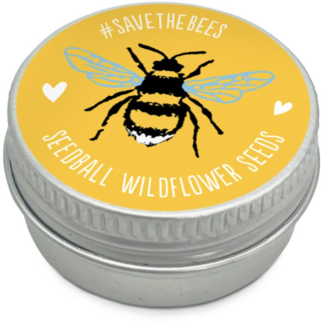 Mini Seedball tins - Yellow