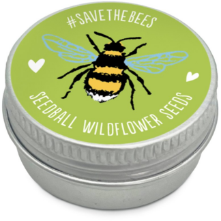 Mini Seedball tins - Green