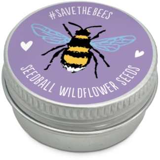 Mini Seedball tins - Purple