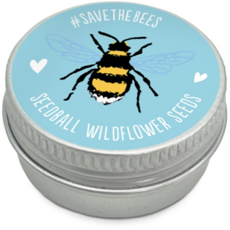 Mini Seedball tins - Turquoise