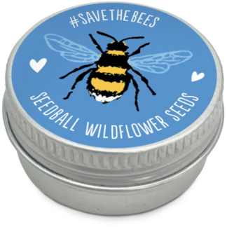 Mini Seedball tins - Blue