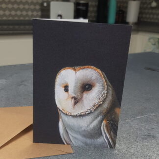 A6 Barn Owl greetings card - Blank