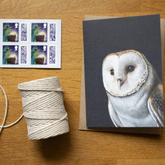 A6 Barn Owl greetings card - Blank