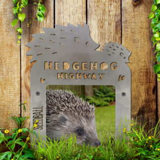 Seedball - Hedgehog Highway