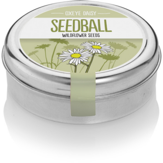 Seedball Oxeye Daisy Seeds