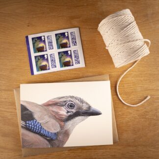 A6 Jay greetings card - Blank