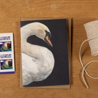 A6 Swan greetings card - Blank